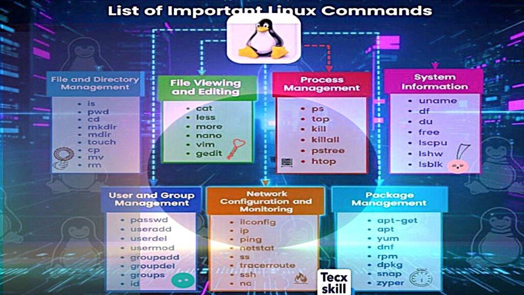 Learn about linux commands,