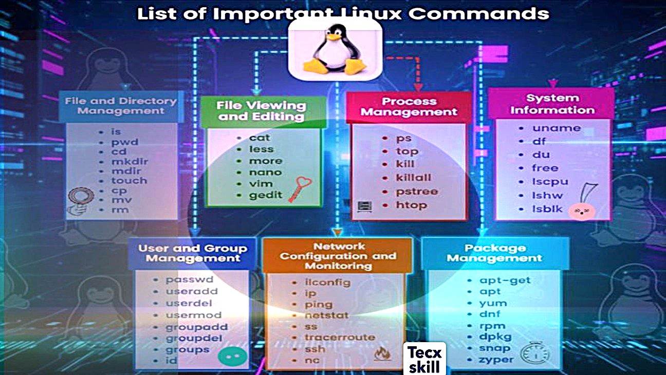 Learn about linux commands,
