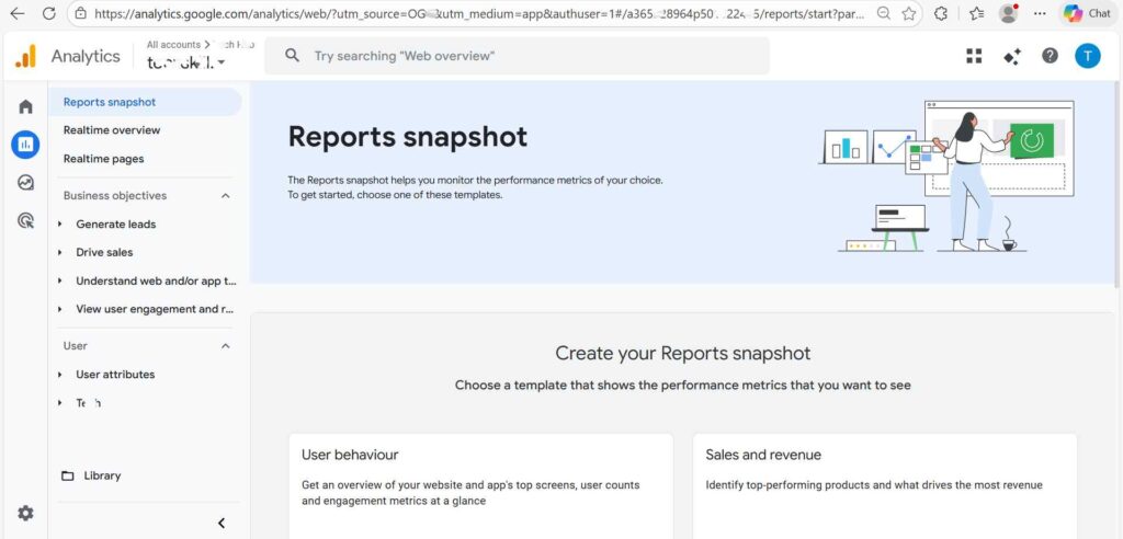 Google Analytics report snapshort 7